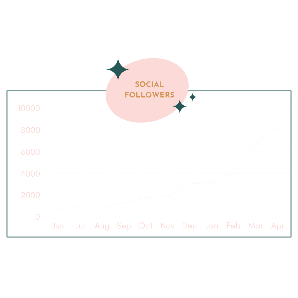 social follower metrics